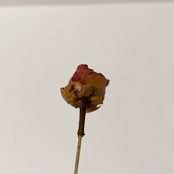 Vintage Dried Rose Bud Lapel Stick Pin - Picture 12 of 13